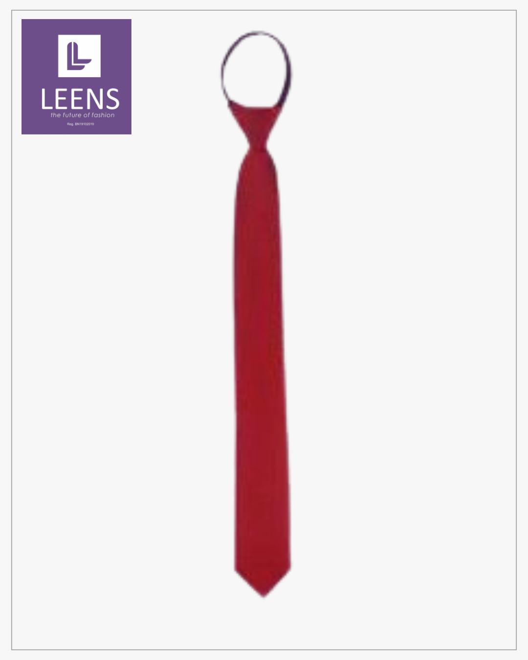 Mens Tie #1618