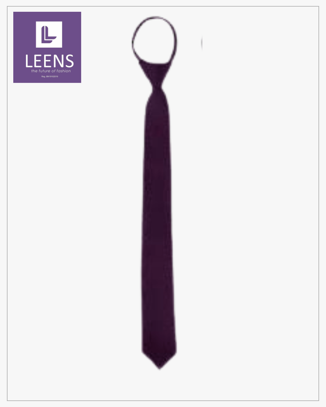 Mens Tie #1618
